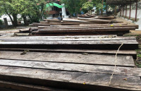 Pemprov Diminta Buat Regulasi Penjualan Kayu Lokal